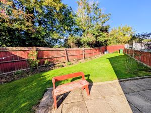 Photo 9- click for photo gallery